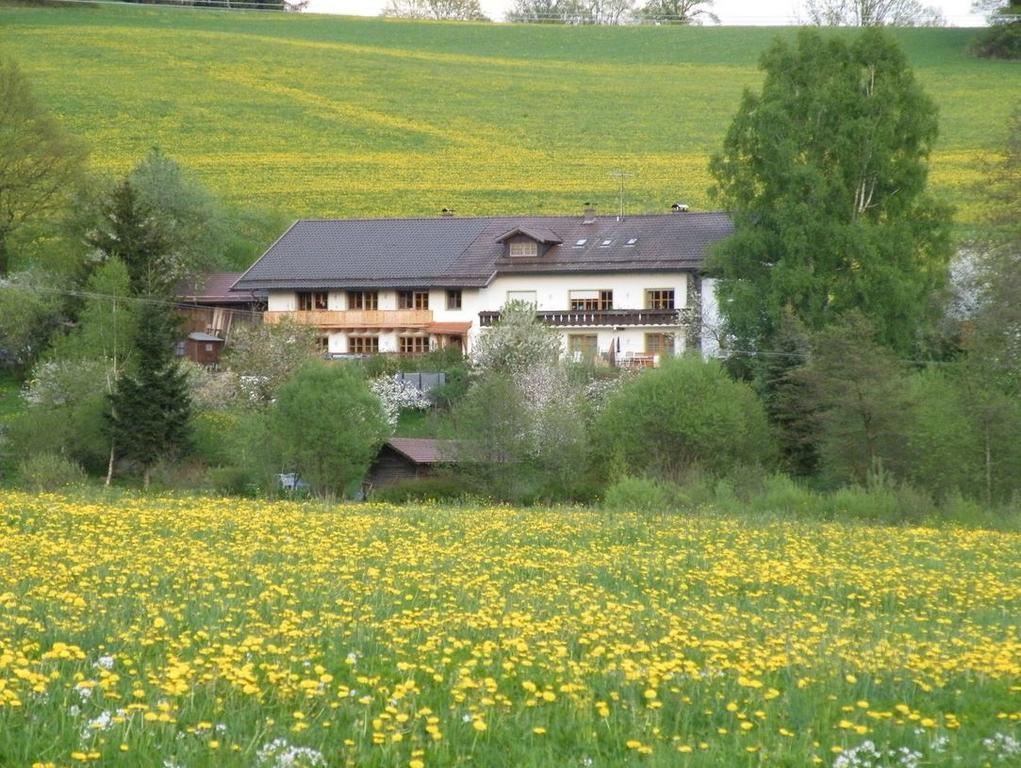דראכזלשריד Pension Landhaus Riedelstein מראה חיצוני תמונה